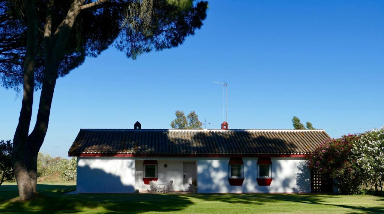 La Casita De Hato Pinos, Un Rincon En Donana Aznalcázar Dış mekan fotoğraf