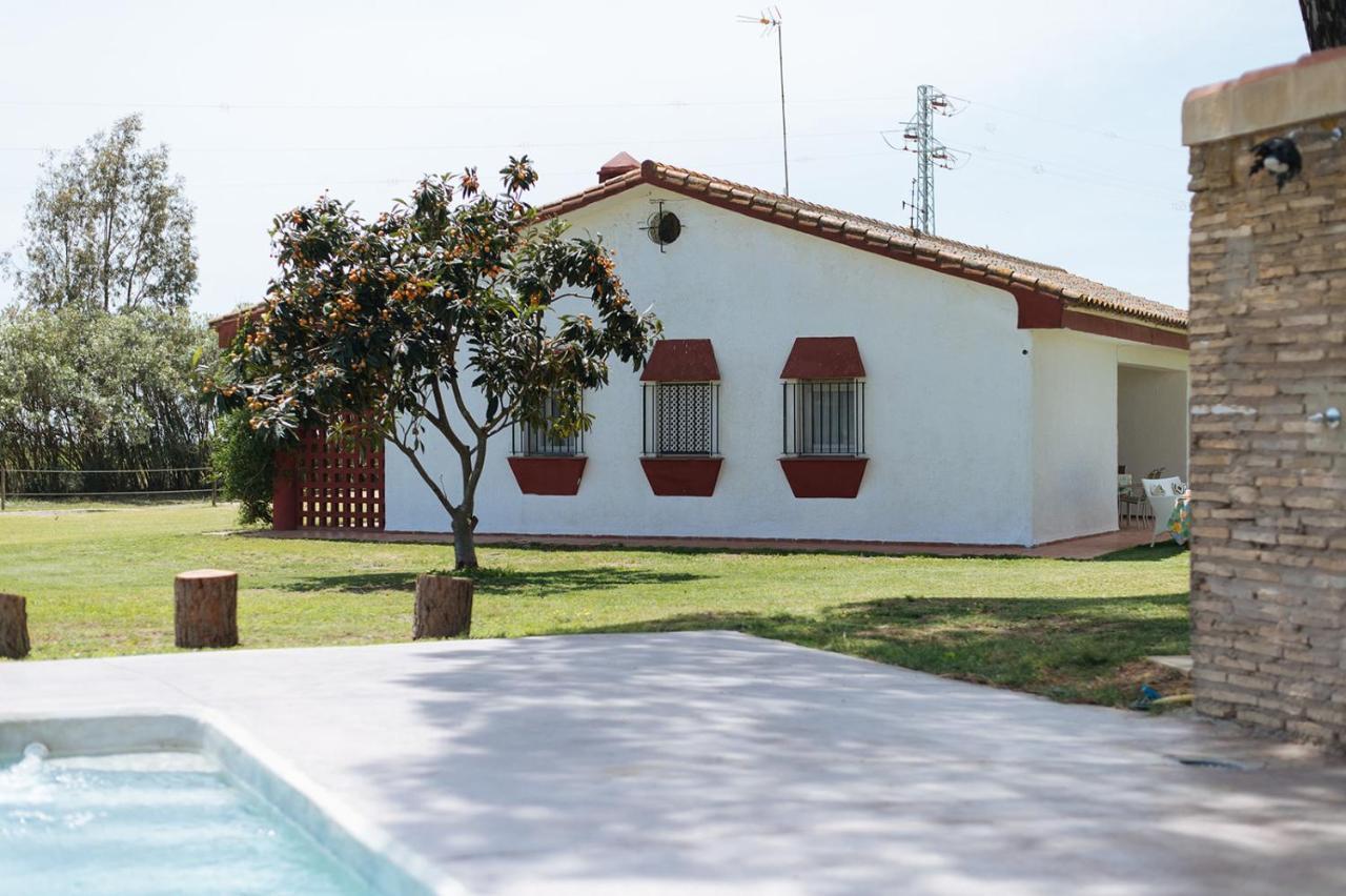 La Casita De Hato Pinos, Un Rincon En Donana Aznalcázar Dış mekan fotoğraf