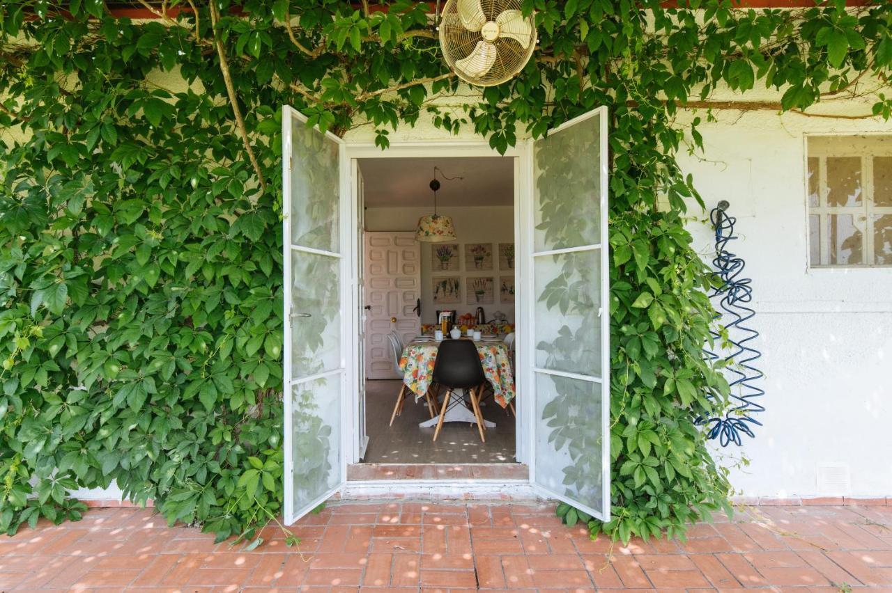 La Casita De Hato Pinos, Un Rincon En Donana Aznalcázar Dış mekan fotoğraf